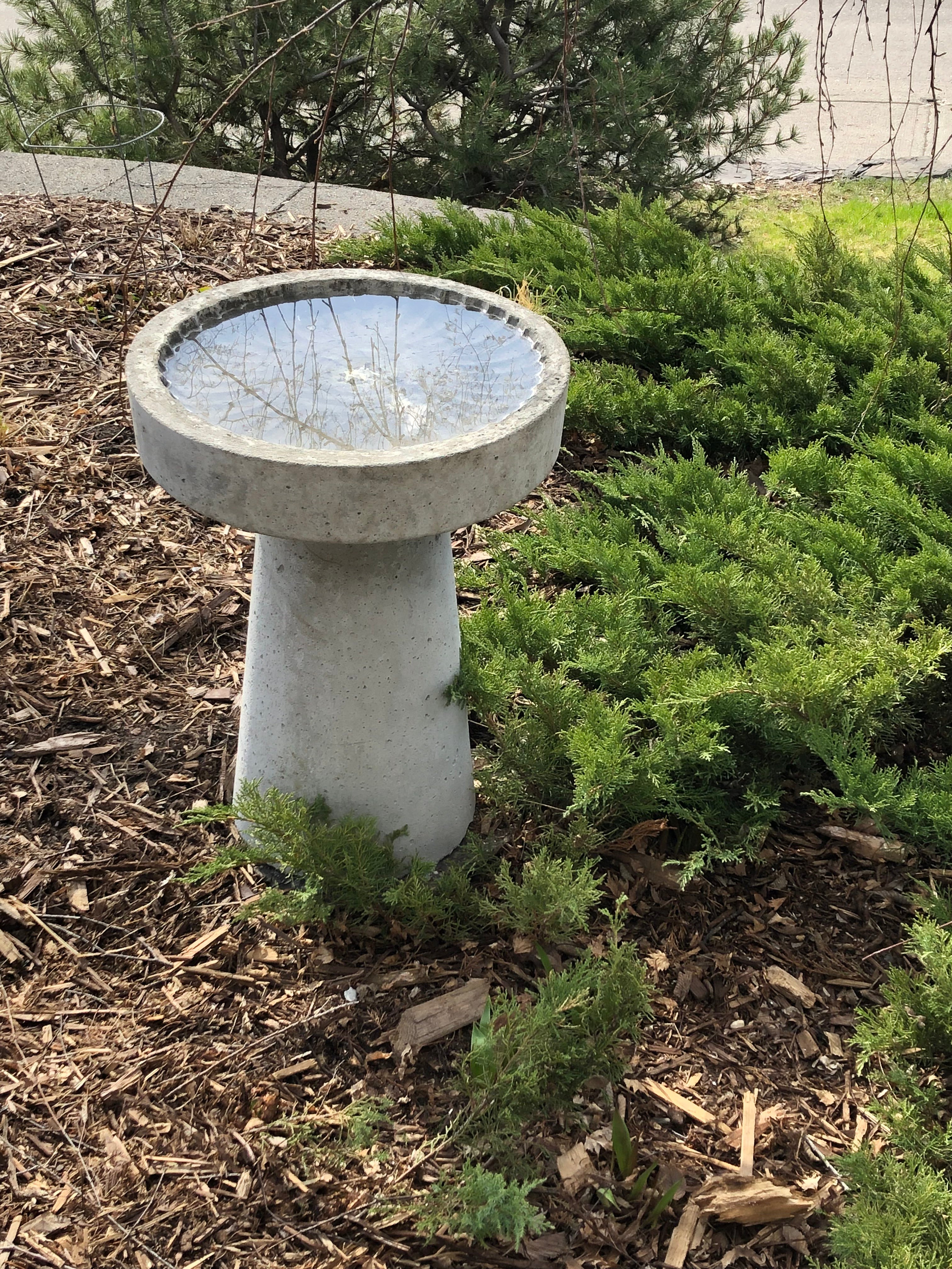 Summer Stone Bird Bath
