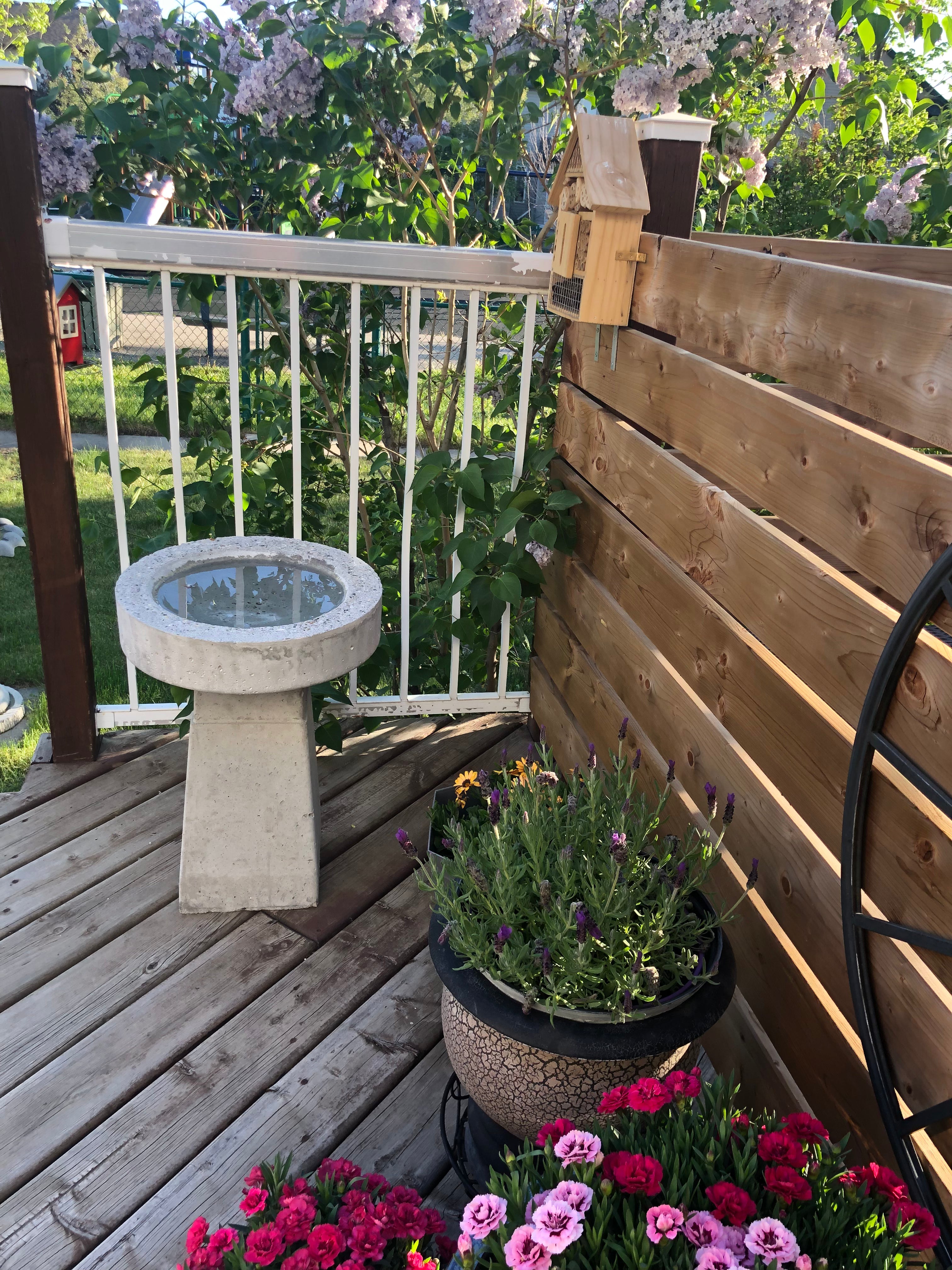 Summer Stone Bird Bath
